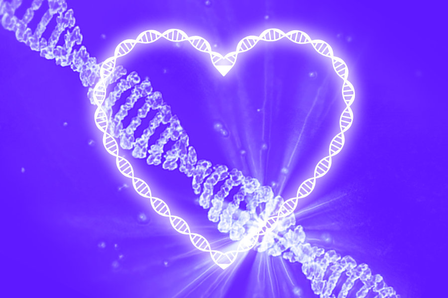 Coração e símbolo de ADN